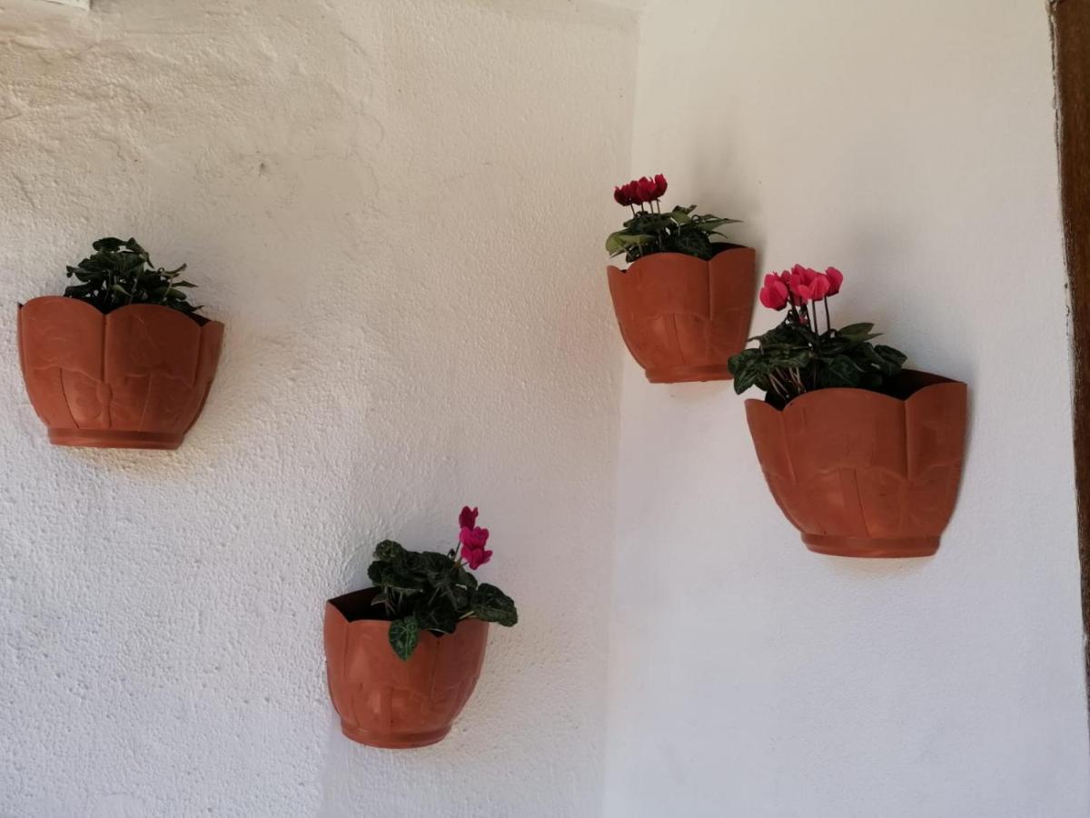 Willa Casa Rosario Mieres  Zewnętrze zdjęcie